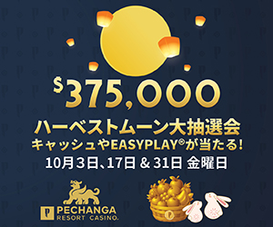251001harvest-moon-promos-2025-print-ads-jp-web_300x250.jpg