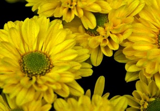 サンディエゴの春　温暖で少雨傾向か　ラニーニャ後退で「穏やかな季節」に