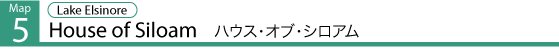 5.gif