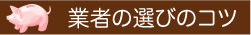 6_3.gif