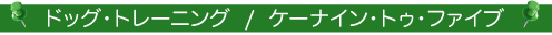 8.gif