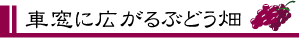 1_1.gif