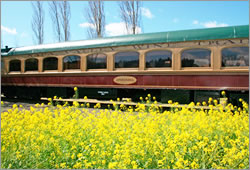 train.jpg