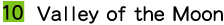10.gif