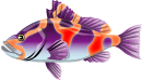fish3.gif