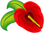 hana1.gif